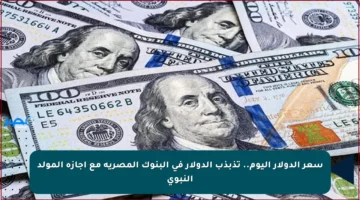سعر الدولار اليوم.. تذبذب الدولار في البنوك المصرية مع إجازة المولد النبوي